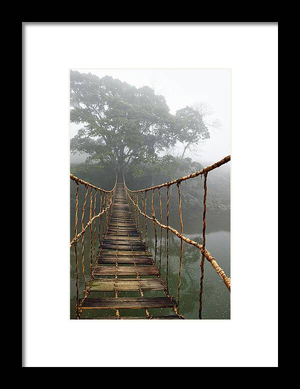 #faatoppicks Framed Print featuring the photograph Jungle Journey 2 by Skip Nall