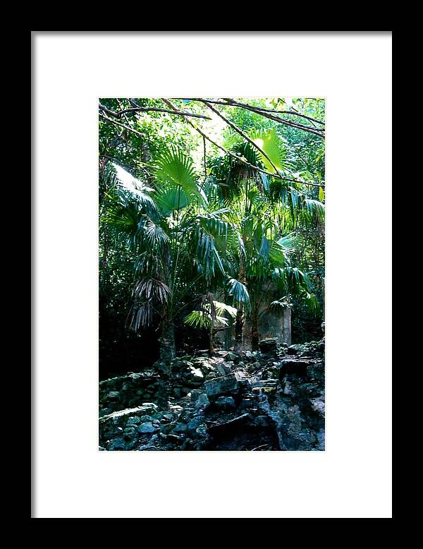 Caribbean Framed Print featuring the photograph Jungle Sun by Robert Nickologianis