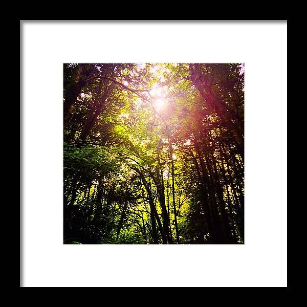 Jungle Framed Print featuring the photograph Jungle Sun by Trystan Oldfield