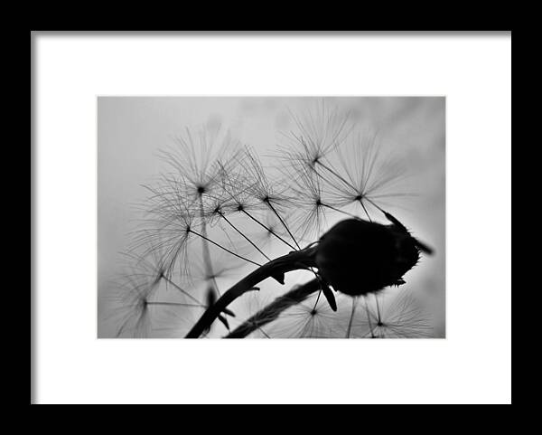 Disloyalty Framed Print featuring the photograph Just Another Shot In the Back by Wendy Rickwalt