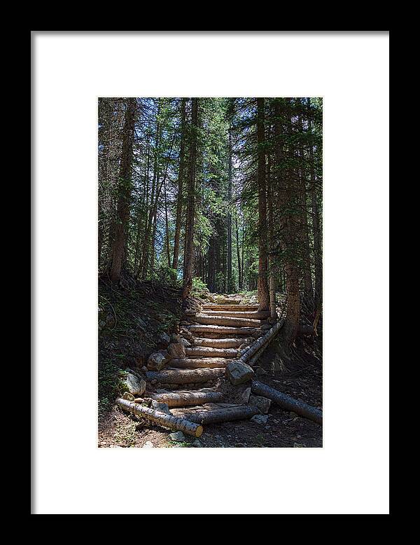 Natural Framed Print featuring the photograph Just Another Stairway To Heaven by James BO Insogna