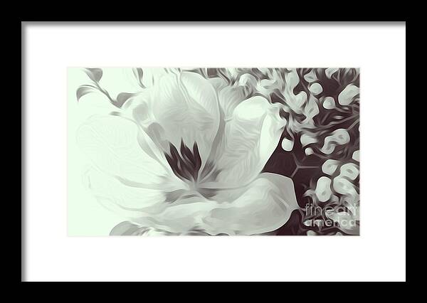 Flower Framed Print featuring the photograph Just Because by Heather L Wright