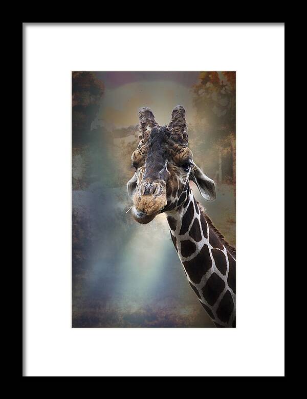 African Framed Print featuring the photograph Just Call Me Mister by Debra and Dave Vanderlaan
