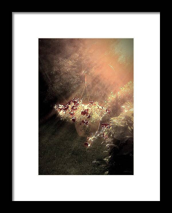 Sun Framed Print featuring the photograph Just Dreaming by Dani McEvoy