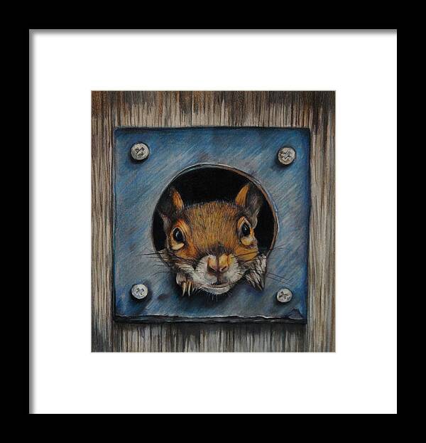 Squirrel Framed Print featuring the drawing Just Hanging Out by Jean Cormier