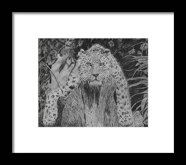 Jaguar Framed Print featuring the drawing Just Hanging Out by Quwatha Valentine