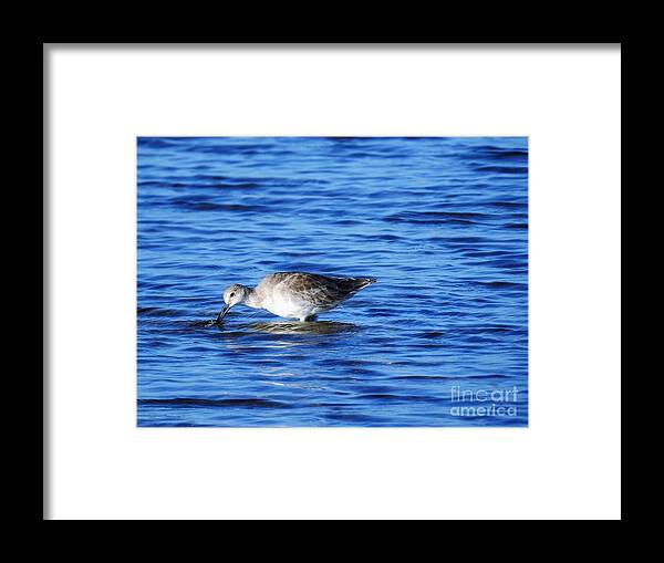 Coastal Framed Print featuring the photograph Just One More by Jan Gelders