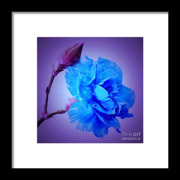 Carnation Framed Print featuring the photograph Just Remember I Love You by Krissy Katsimbras
