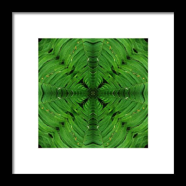 Kaleidoscope Framed Print featuring the photograph Kal3 by Morgan Wright