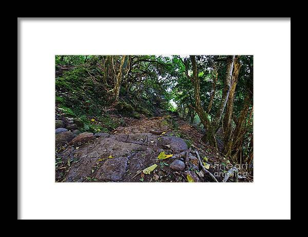 Kalaupapa Trail Framed Print featuring the photograph Kalaupapa Trail Switch Backs 24 and 23 by Craig Wood