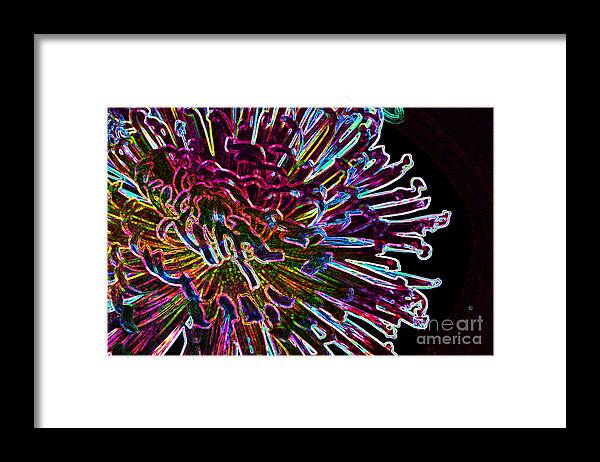 Flowers In The Kitchen Framed Print featuring the photograph Kaleidoscopic by Julie Lueders 