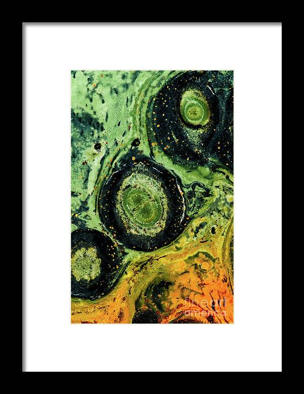 Green Framed Print featuring the photograph Kambaba Jasper circles RO9063 by Mark Graf