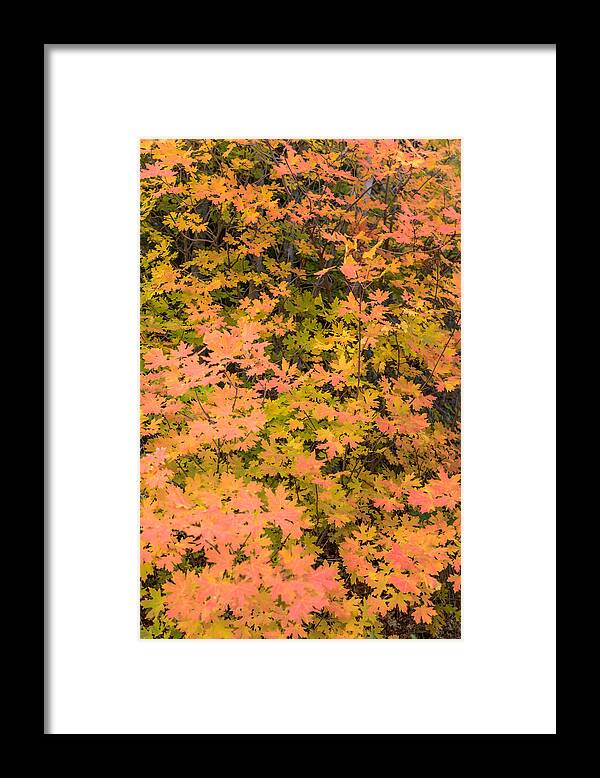 Kanarra Framed Print featuring the photograph Kanarra Fall Hike Colors by Chuck Jason