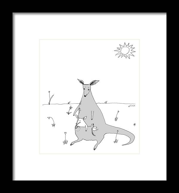 Kangaroo Framed Print featuring the drawing Kangaroo with joey and juice box by Liana Finck