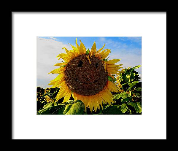 Sunflower Framed Print featuring the photograph Kansas Sunflower by Keith Stokes