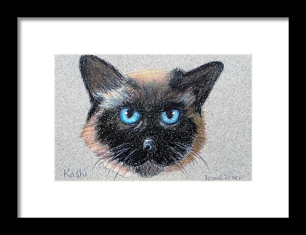Siamese Framed Print featuring the drawing Kashi by Jamie Frier