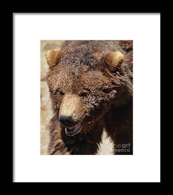 Diane Berry Framed Print featuring the painting Katmai Alaskan Grissly by Diane E Berry