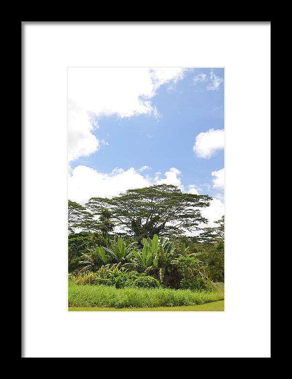 Kauai Framed Print featuring the photograph Kauai Hindu Monastery by Amy Fose