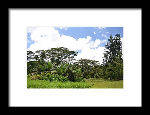 Kauai Framed Print featuring the photograph Kauai Hindu Monastery Greenery 2 by Amy Fose