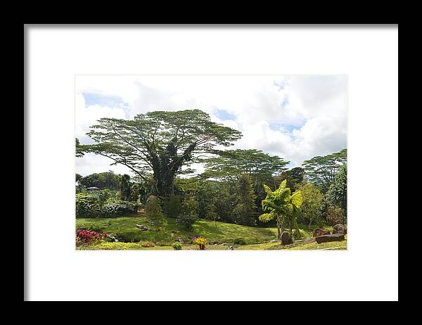 Kauai Framed Print featuring the photograph Kauai Hindu Monastery Greenery 4 by Amy Fose