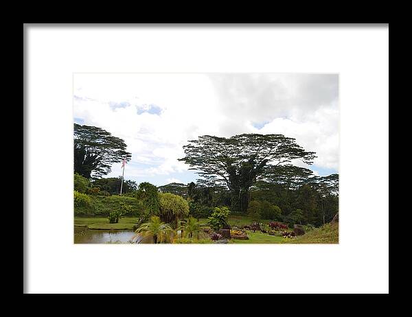 Kauai Framed Print featuring the photograph Kauai Hindu Monastery Greenery 5 by Amy Fose