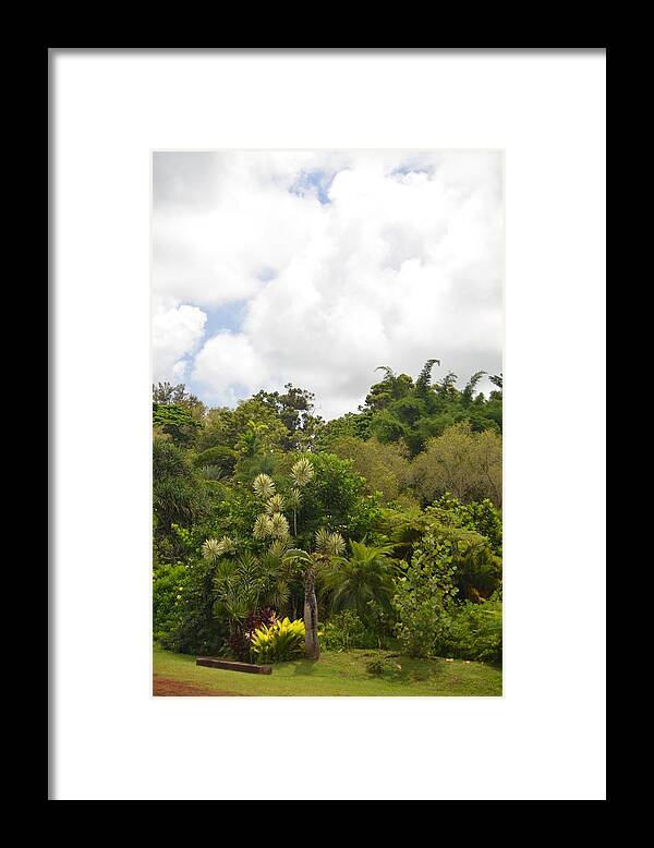 Kauai Framed Print featuring the photograph Kauai Hindu Monastery Greenery by Amy Fose