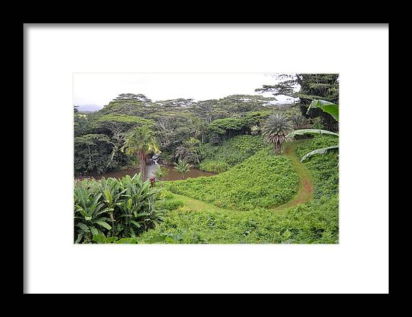 Kauai Framed Print featuring the photograph Kauai Hindu Monastery Trail by Amy Fose