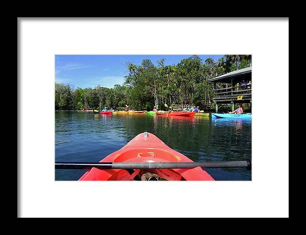 Kayaking For Manatees Framed Print featuring the photograph Kayaking for Manatees by David Lee Thompson