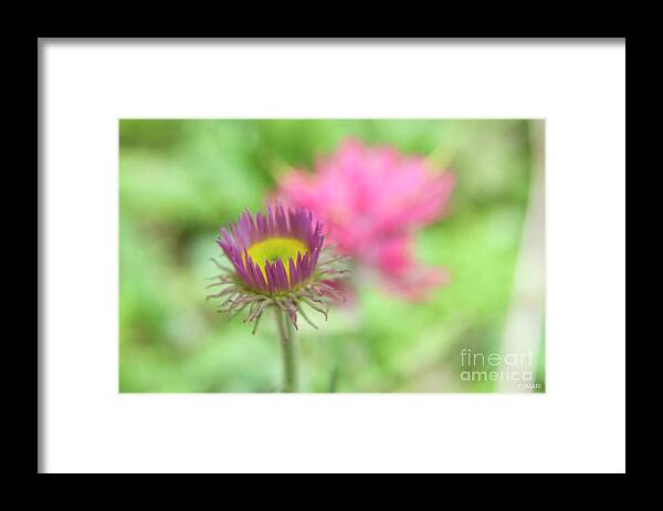 #nature Framed Print featuring the photograph Keep It Simple by Jacquelinemari