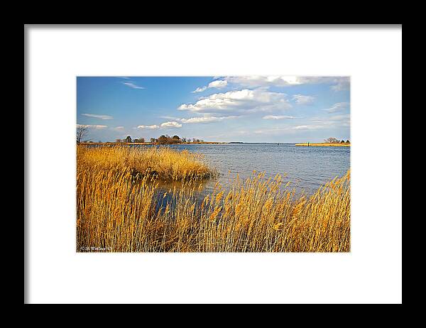 2d Framed Print featuring the photograph Kent Island by Brian Wallace