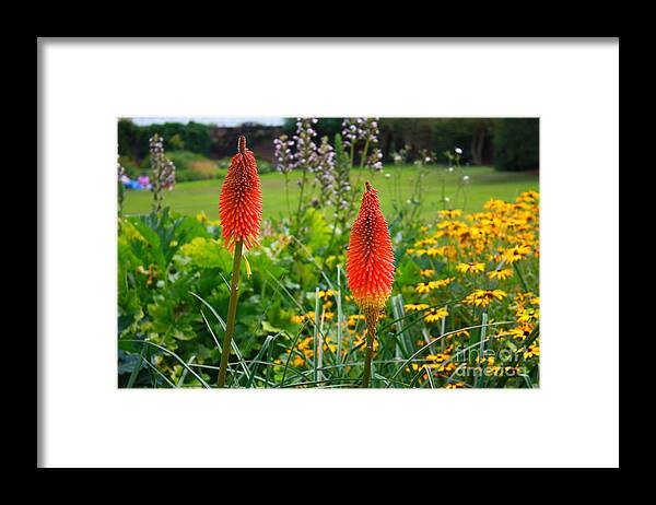 Kew Gardens Framed Print featuring the photograph Kew Gardens by Pat Moore