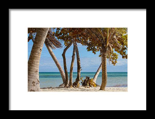 Bonnie Follett Framed Print featuring the photograph Key West Afternoon by Bonnie Follett