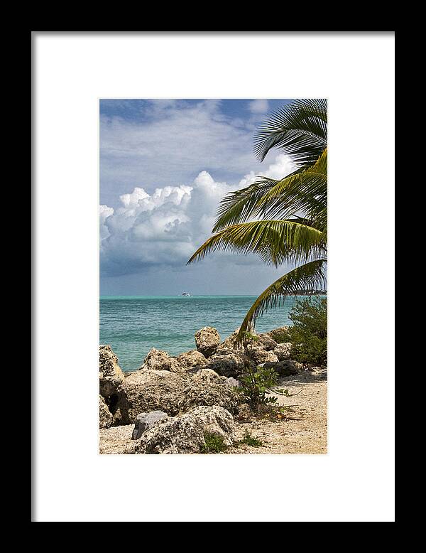Tropical Framed Print featuring the photograph Key West Paradise 4 by Bob Slitzan