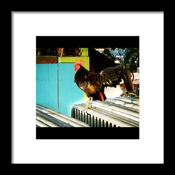 Colorful Framed Print featuring the photograph #keywest #instagood #photo #igers by Jason Freedman