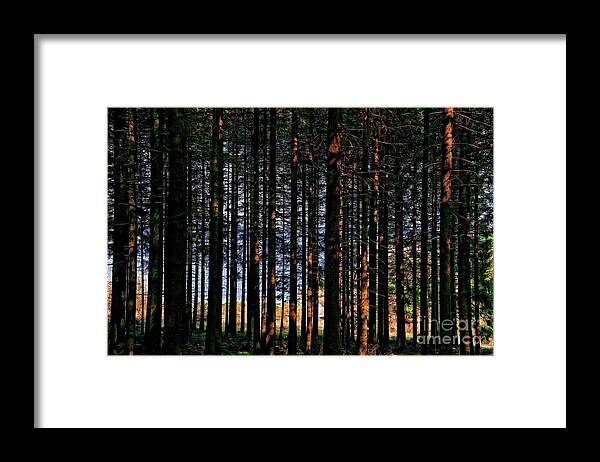 Kielder Forest Framed Print featuring the photograph Kielder Forest and Kielder Water by Martyn Arnold