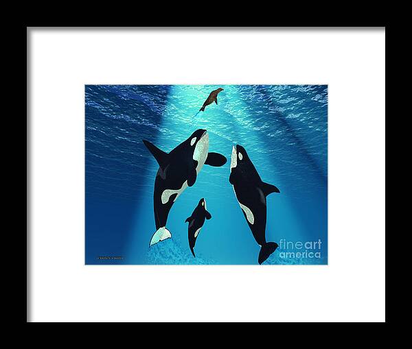 Whale Framed Print featuring the painting Killer Whales by Corey Ford