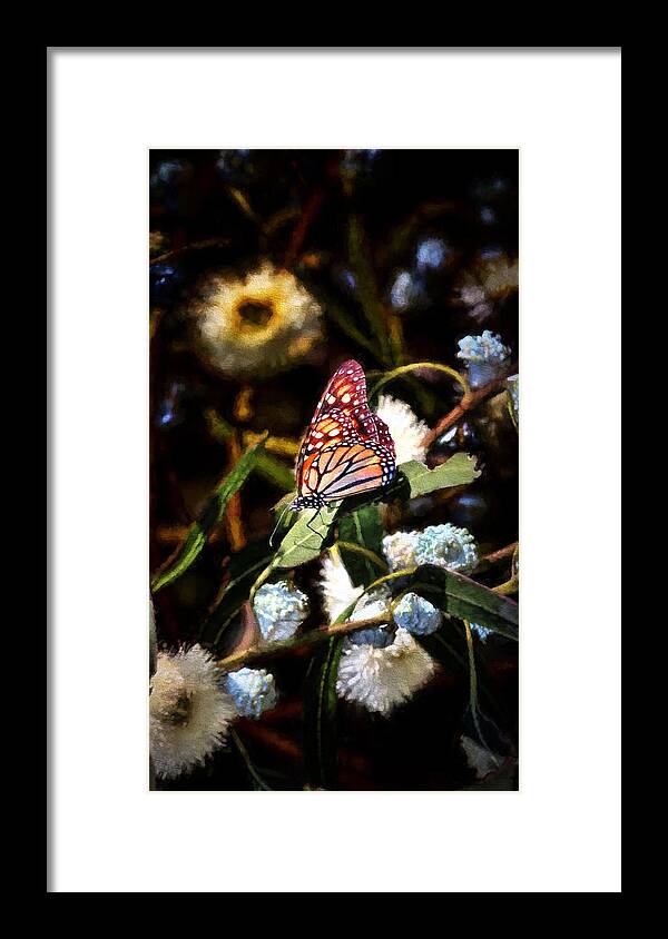 Monarch Butterfly Framed Print featuring the photograph King of the Butterflies - 1 by Susan Rissi Tregoning