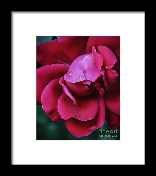 Red Framed Print featuring the photograph Kiss by Lilliana Mendez