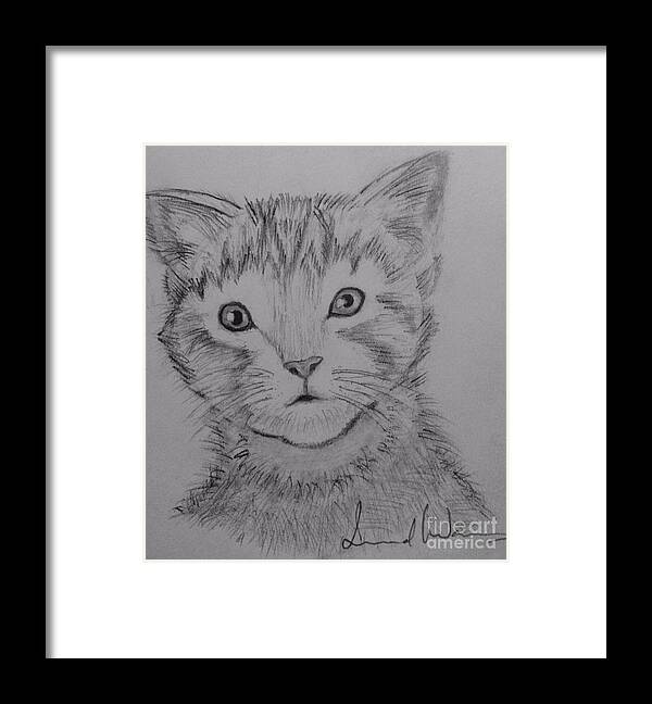 Sketch Kitten Framed Print featuring the painting Kitten by Brindha Naveen