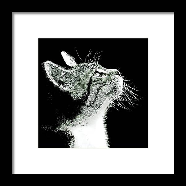 Kitten Framed Print featuring the digital art Kitten Thoughts by David G Paul