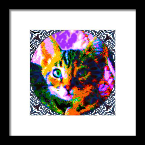  Framed Print featuring the photograph Kittenhead Tee by Steve Fields