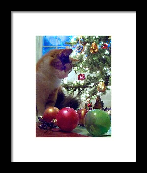Chirstmas Framed Print featuring the painting Kitty helps Decorate the Tree Christmas Card by Anne Cameron Cutri