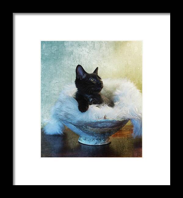Kitty Framed Print featuring the photograph Kitty Portrait by Jackie Sajewski
