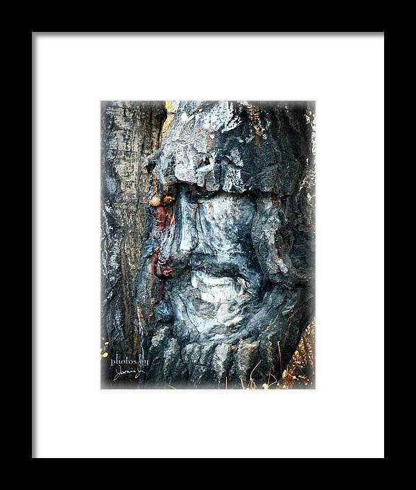 Wood Framed Print featuring the photograph Knight of the Lemanasky Wood by Jamie Johnson