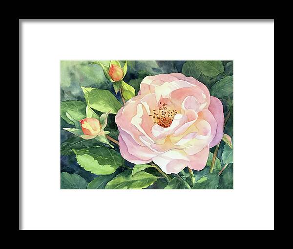 Knockout Roses Framed Print featuring the painting Knockout Rose and Buds by Vikki Bouffard