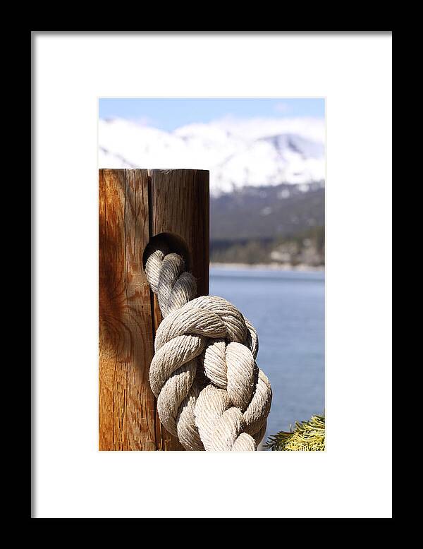 Knot Framed Print featuring the photograph Knot in Tahoe by Jeff Floyd CA