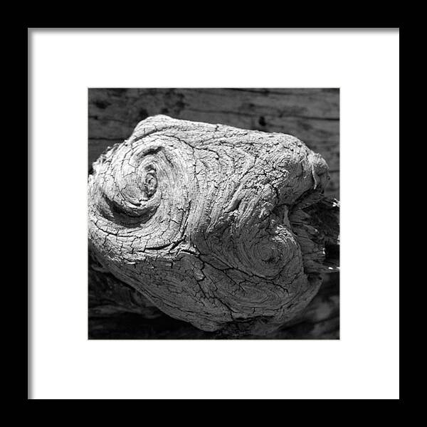 Beautiful Framed Print featuring the photograph Knotty #1 by Leah McPhail