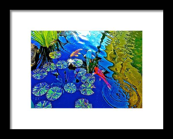 Koi Framed Print featuring the photograph Koi Pond by Gini Moore