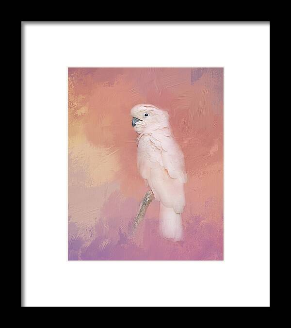 Bird Framed Print featuring the photograph Kramer The Moluccan Cockatoo by Theresa Tahara