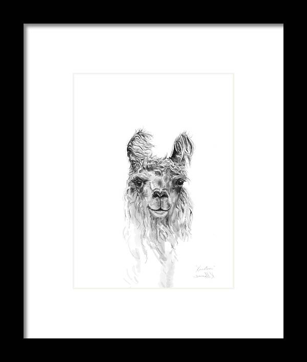 Llama Art Framed Print featuring the drawing Kristen by Kristin Llamas